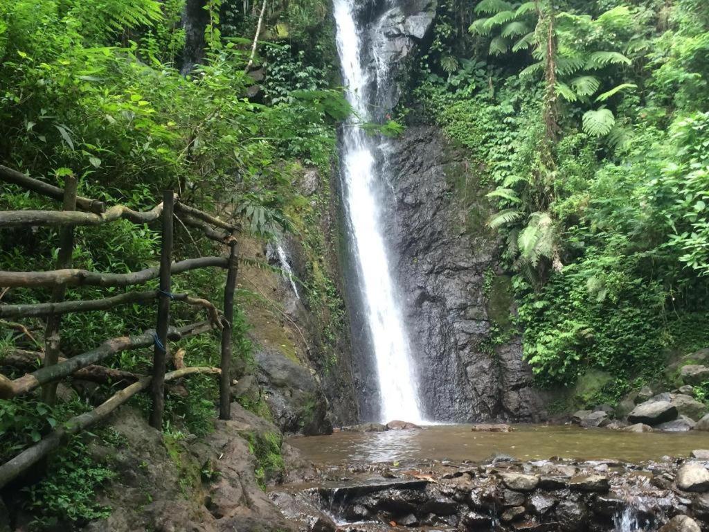 Jimmers Mountain Resort Puncak Buitenkant foto