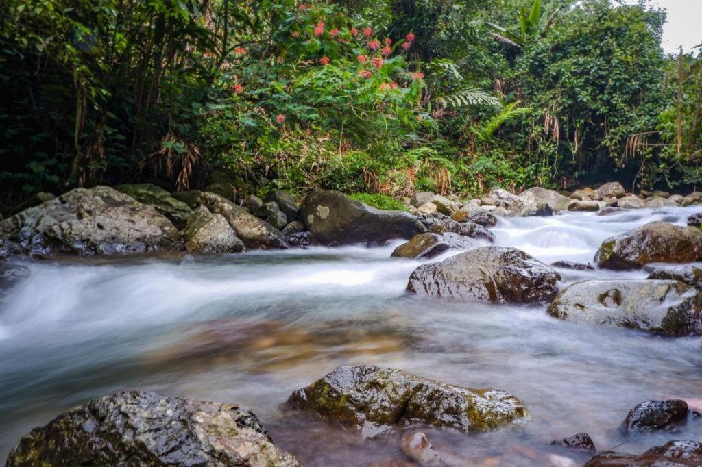 Jimmers Mountain Resort Puncak Buitenkant foto